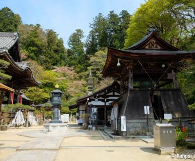 Oka-dera (Asuka), Temple's grounds in spring and Shoro-do Bell tower