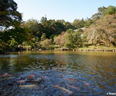 Narita-san Park, Pond with koi carps in the Japanese garden