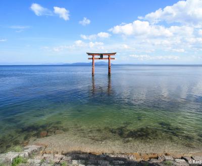 Shirahige-jinja, Floating torii on Lake Biwa