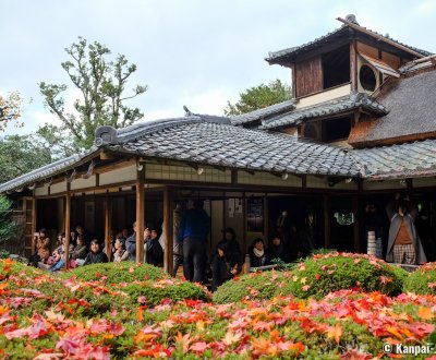 Shisen-do (Kyoto), Azalea bushes in autumn and visitors in the villa