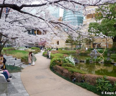 Roppongi Hills (Tokyo), View on the complex from the Mohri Garden during sakura blossom season