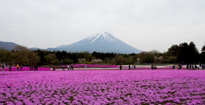 Mount Fuji - 🗻 The Iconic Volcano