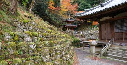 Adashino Nenbutsu Ji The Temple With 8 000 Buddhist Statues In Arashiyama Adashino Nenbutsu Ji The Temple With 8 000 Buddhist Statues In Arashiyama