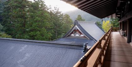 Echizen traditional Japanese paper（Echizen washi）- KOGEI JAPAN