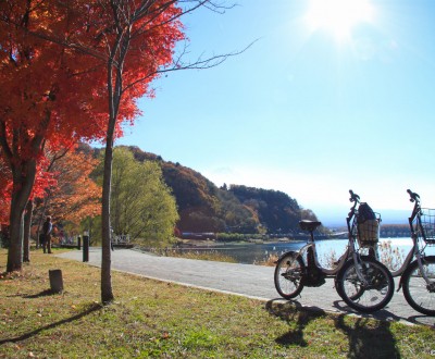 Kawaguchiko Momiji Fuji 13