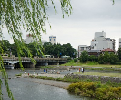 Kamo-gawa (Kyoto), View on the river in summer from downtown Kyoto