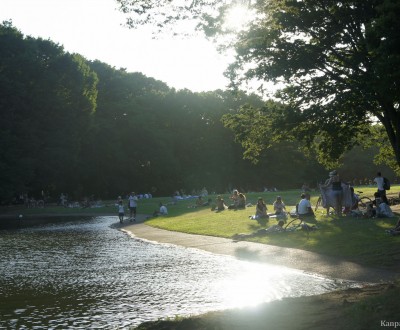 Yoyogi Park in Tokyo, People enjoying the shade of trees and pond in summer