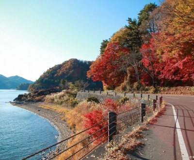 Lake Kawaguchiko (Mount Fuji), View on the lake and the momiji in autumn