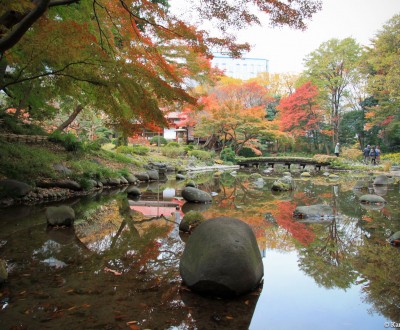 Koishikawa Korakuen (Tokyo) in autumn