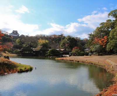 Hikone, View on the keep from one of the gardens in autumn