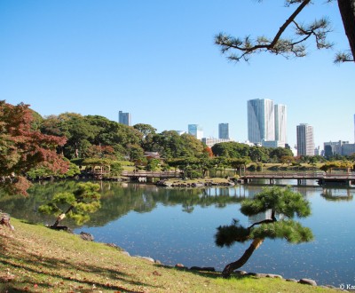 Hamarikyu Garden (Tokyo), Traditional Japanese garden and modern buildings in the background