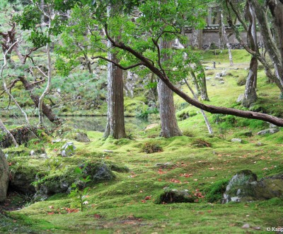 Saiho-ji Koke-dera temple (Kyoto)