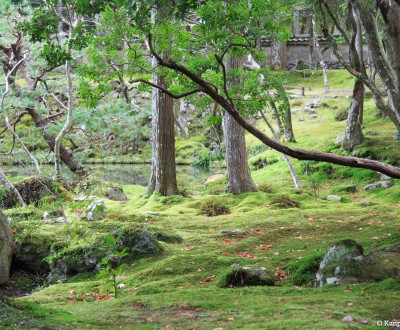 Saiho-ji Koke-dera temple (Kyoto)