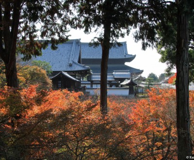 Tofuku-ji (Kyoto), View on the temple in autumn