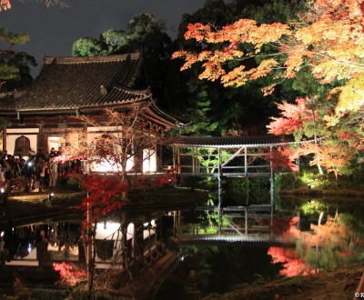 Kodai-ji (Kyoto), Momiji light-up in autumn