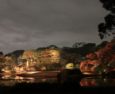 Rikugi-en (Tokyo), Overview of the momiji ligh-up in autumn