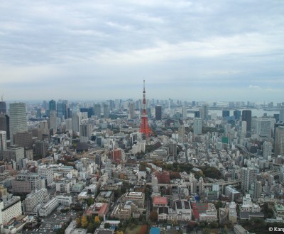 Roppongi Mori Tower 6