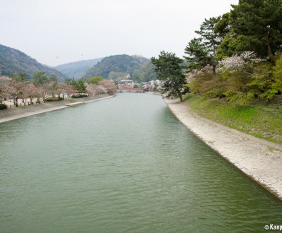 Uji