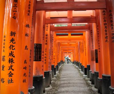 Fushimi Inari Taisha (Kyoto), Torii alley