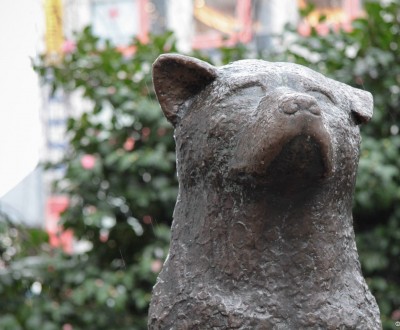 Statue of Hachiko the loyal dog in Shibuya (Tokyo)