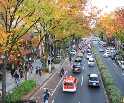 Omotesando Avenue in Tokyo, Traffic lanes in autumn