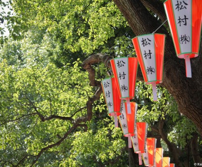 Ueno Park, paper lanterns and cherry trees in summer