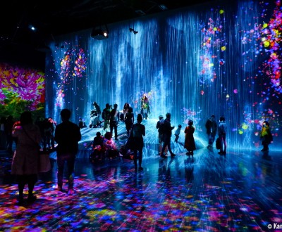 teamLab Borderless, MORI Building DIGITAL ART MUSEUM, Odaiba,Tokyo