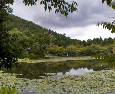 Ryoanji Kyoto 1