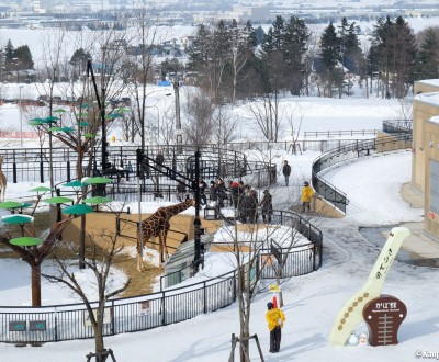 Asahikawa, Asahiyama Dobutsuen Zoo