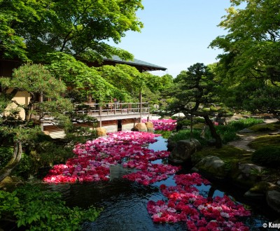Yushi-en Garden, Peony flowers on the water