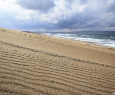 Tottori Sand Dunes