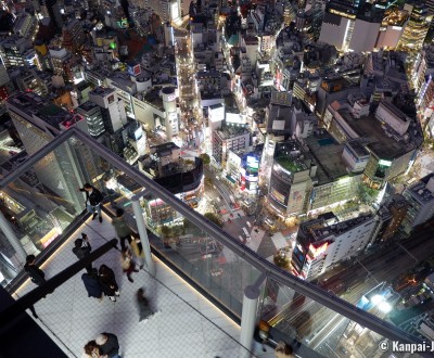 Shibuya Sky Observatory (Scramble), View on Shibuya Crossing 