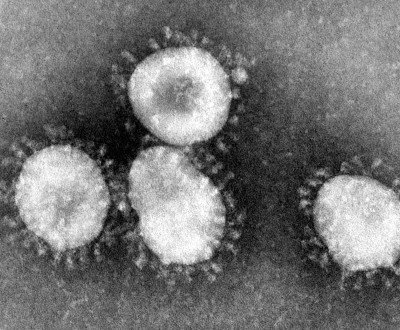 Coronavirus Covid 19