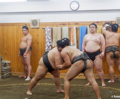 Sumo Training Tokyo 3