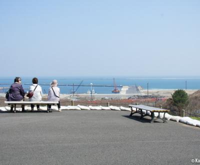 Hitachi Seaside Park 17