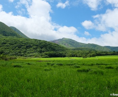 Tadewara Wetlands, Aso-Kuju National Park (Oita)