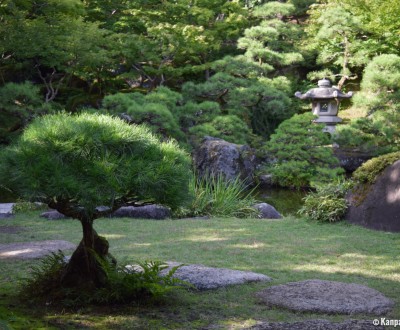 Villa Saito in Niigata, View of the garden