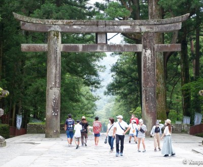 Nikko August 2020 1