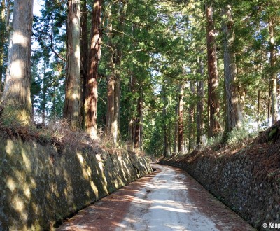 Nikko, Suginamiki Park