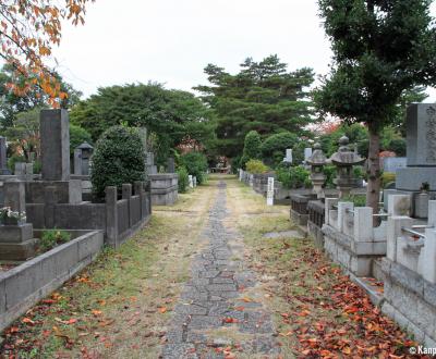 Aoyama Cemetery (Tokyo) in autumn