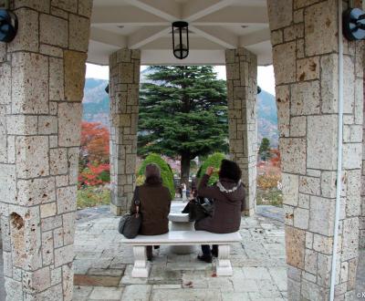 Gora Park (Hakone), kiosk