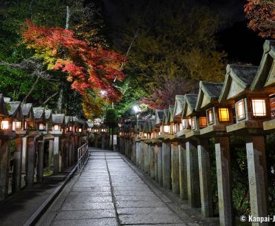 Chogosonshi-ji Shigisan in Nara at night