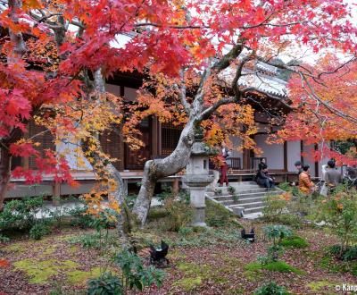 Jojakko-ji (Kyoto), Main Hall