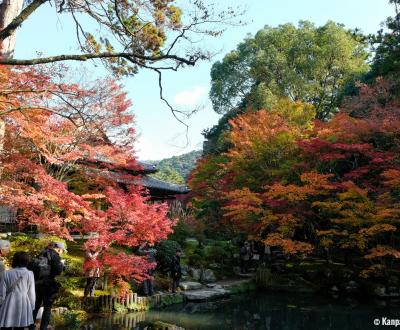 Tenju-an (Kyoto), View on the garden in autumn