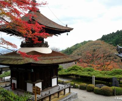 Yoshimine-dera (Kyoto), Tahoto pagoda in autumn