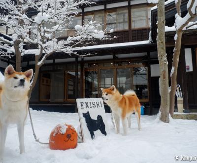 Entrance of Enishi residence in Kakunodate with two Akita-dogs
