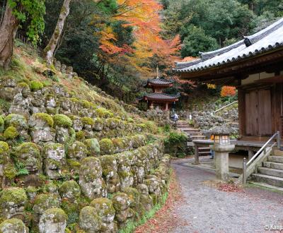 Otagi Nenbutsu-ji (Kyoto), Rows of Rakan statues around the main pavilion