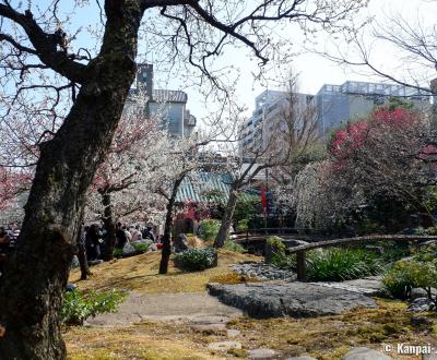 Yushima Tenman-gu, Japanese garden