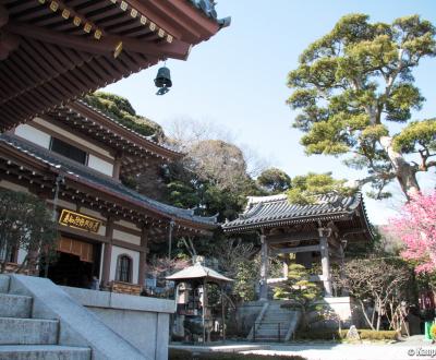 Hase-dera (Kamakura), Amida-do Hall