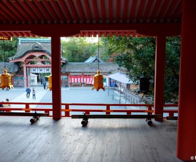 Iwashimizu Hachiman-gu Shrine